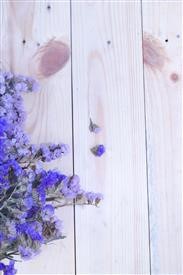 &quot;Flower Delivery Sebring Florida